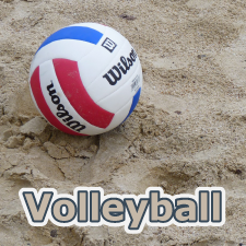 button-volleyball